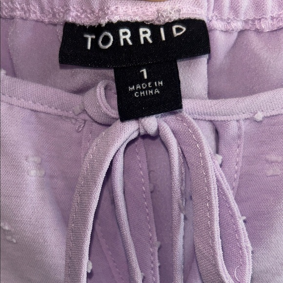 Torrid Light Purple Dress with Lace Accents - Picture 5 of 7